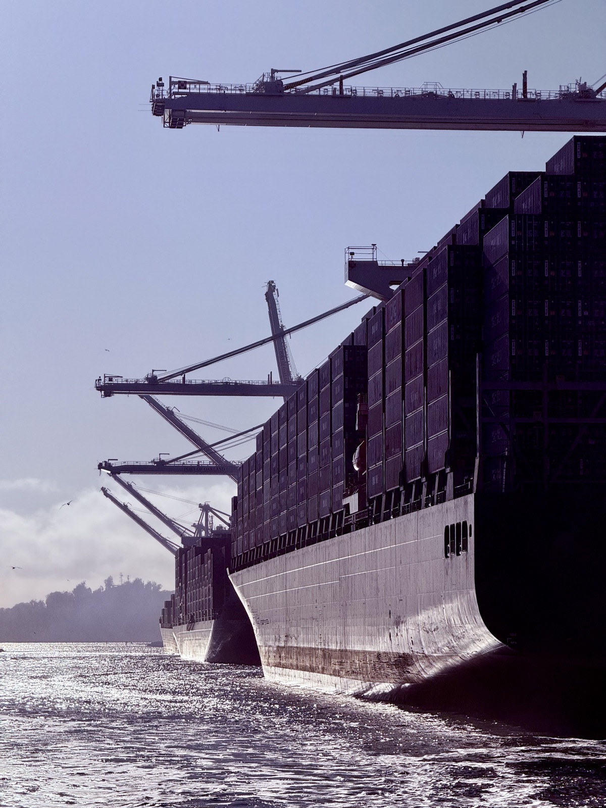 Container ships at a port, with loading cranes silhouetted against a hazy sky.