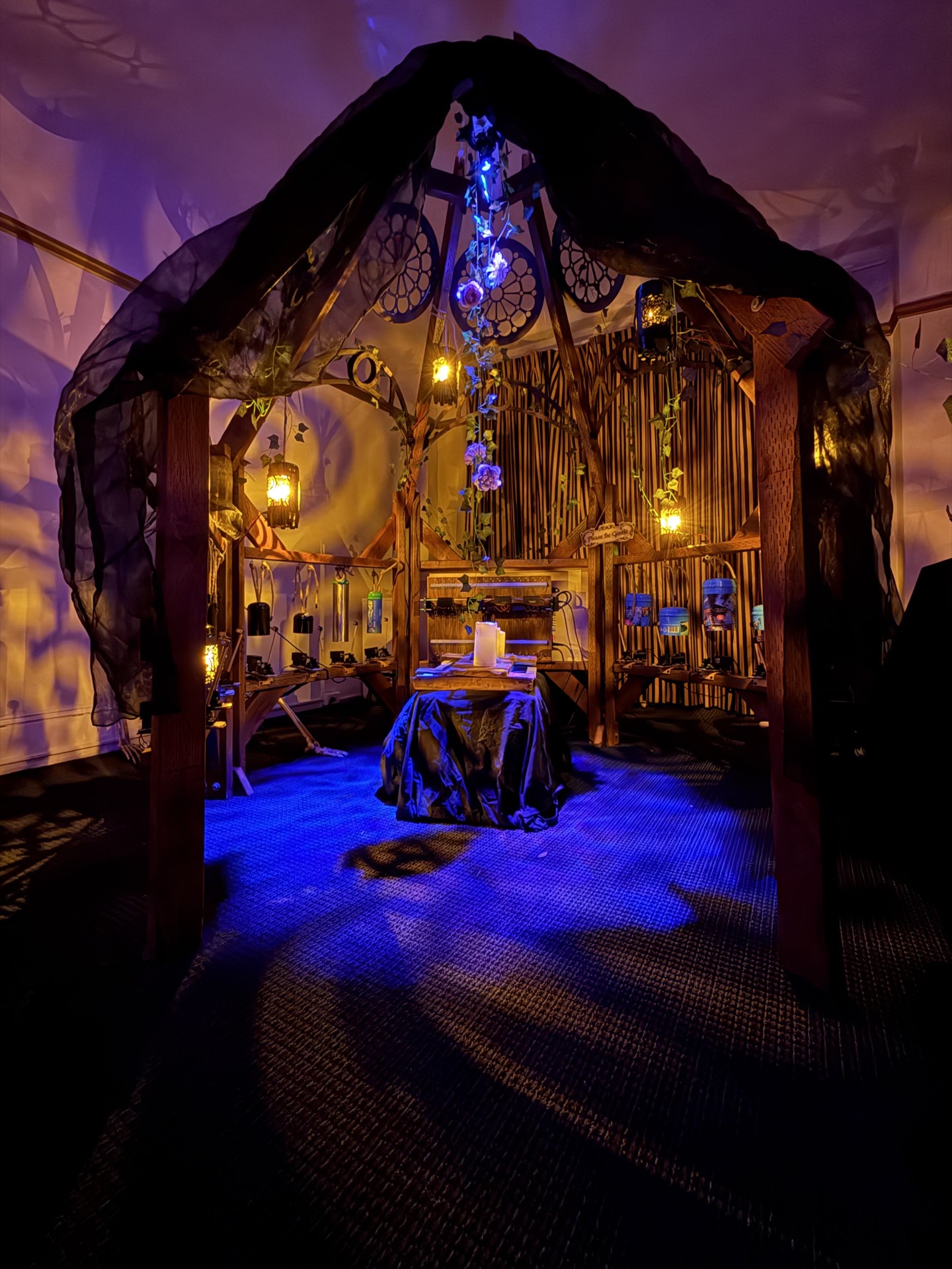 The Organ Of No Body